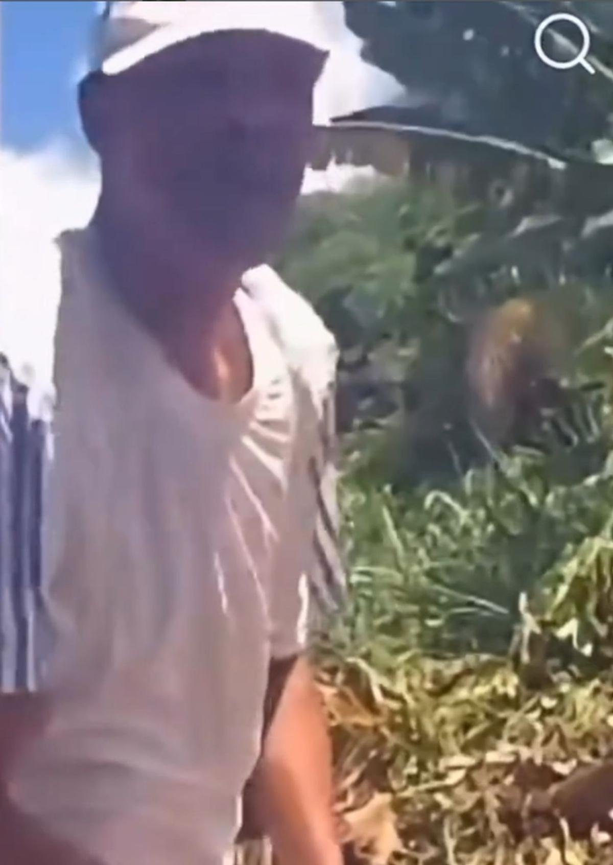Fostul boxer cubanez Felix Savon caută prin gunoaie
