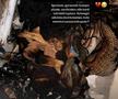 Ce a pățit cel mai bun marcator spaniol din La Liga în timp ce își ridica premiul. Familia e în stare de șoc!
