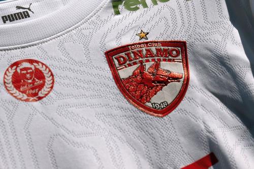 Începe disputa pentru sigla lui Dinamo