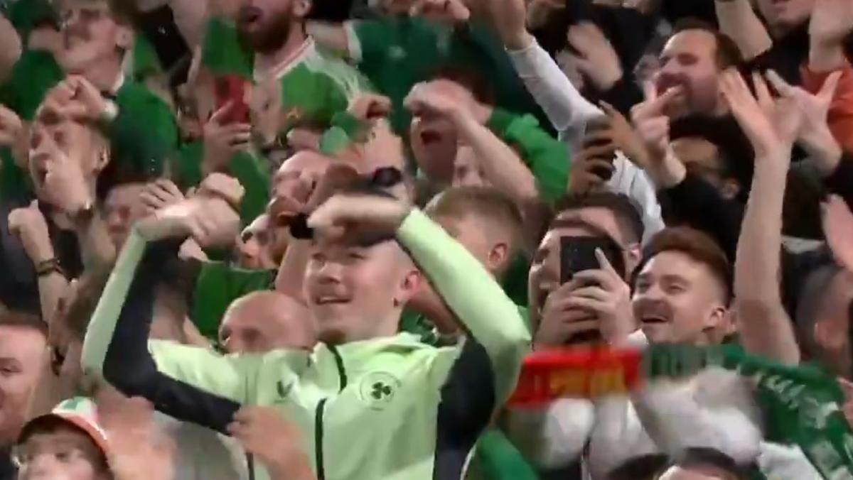 Cristiano Ronaldo, eliminat în Irlanda - Portugalia