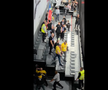 Scandal fani Vâlcea la Gloria Bistrița / foto: capturi Facebook