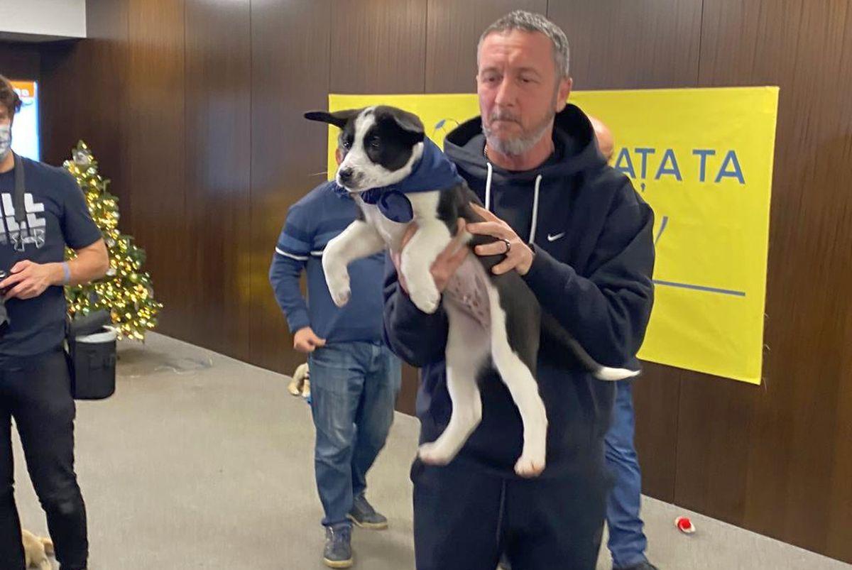 MM Stoica și Florin Tănase, prezenți la acțiunea de susținere a proiectului „Umple golul din viața ta”
