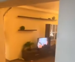 Scene șocante: momentul în care huliganii lui Feyenoord distrug complet un apartament din București