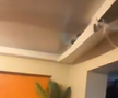 Scene șocante: momentul în care huliganii lui Feyenoord distrug complet un apartament din București