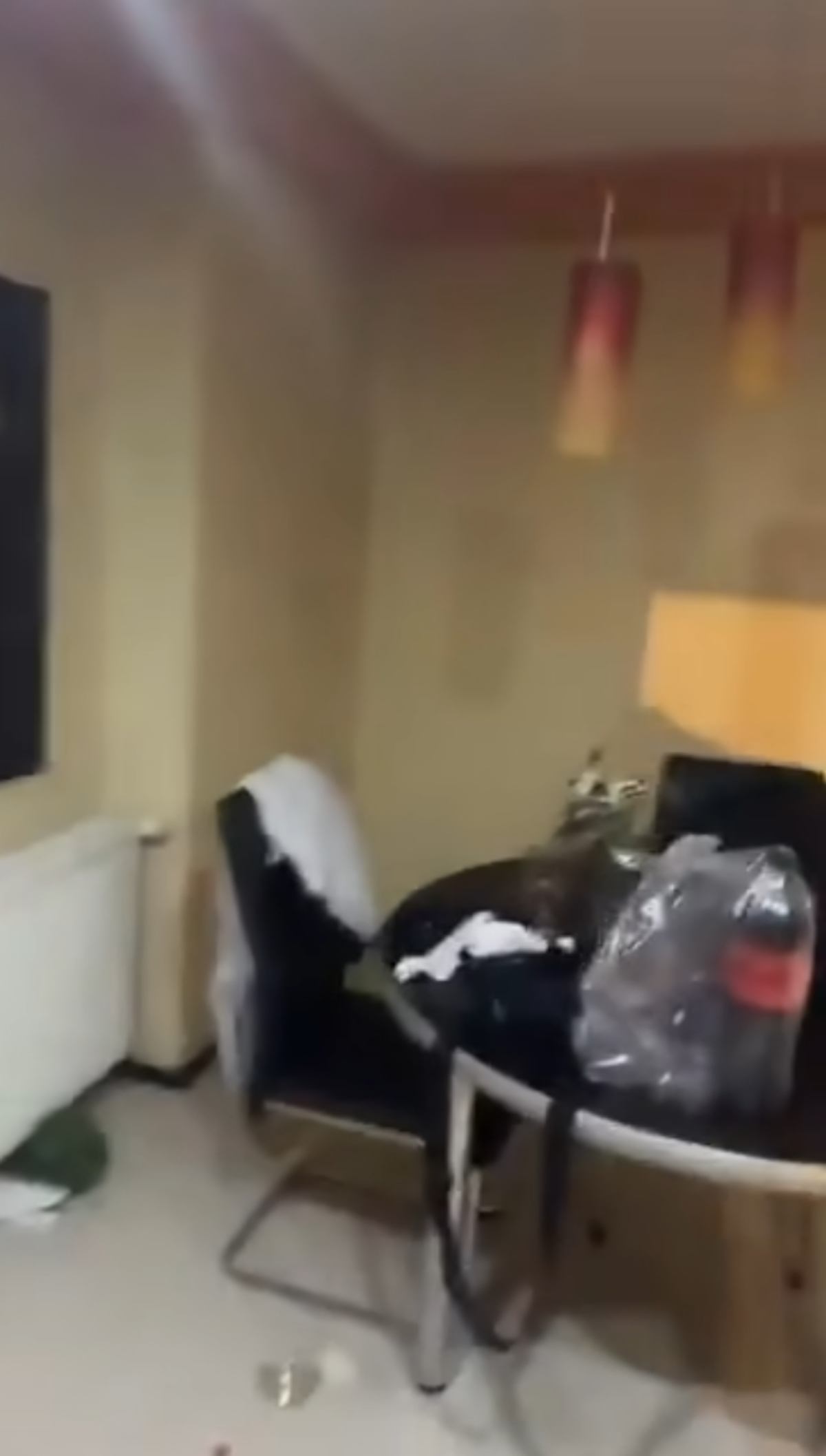 Scene șocante: momentul în care huliganii lui Feyenoord distrug complet un apartament din București