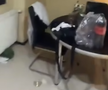 Scene șocante: momentul în care huliganii lui Feyenoord distrug complet un apartament din București