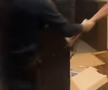 Scene șocante: momentul în care huliganii lui Feyenoord distrug complet un apartament din București