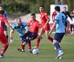 FOTO Hermannstadt - Winterthur 1-2 » Ca-n curtea școlii! Sibienii au luat gol la ultima fază