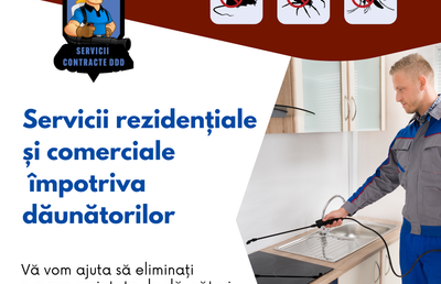 Cum am scăpat de ploșnițe: Servicii profesionale de dezinsecție, prețuri și soluții eficiente în București