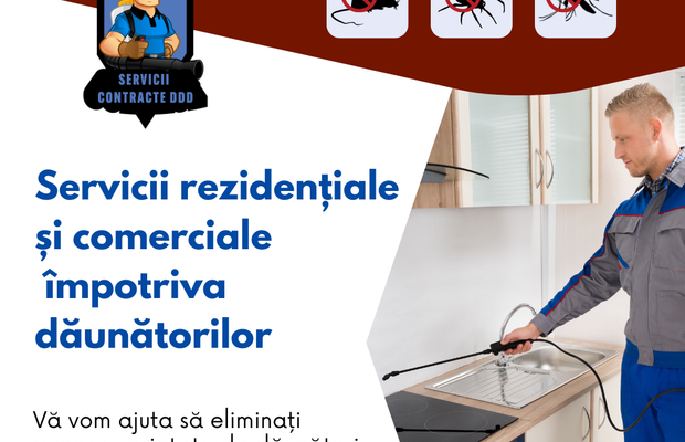 Cum am scăpat de ploșnițe: Servicii profesionale de dezinsecție, prețuri și soluții eficiente în București