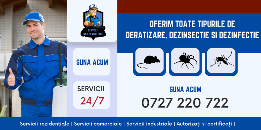 Cum am scăpat de ploșnițe: Servicii profesionale de dezinsecție, prețuri și soluții eficiente în București