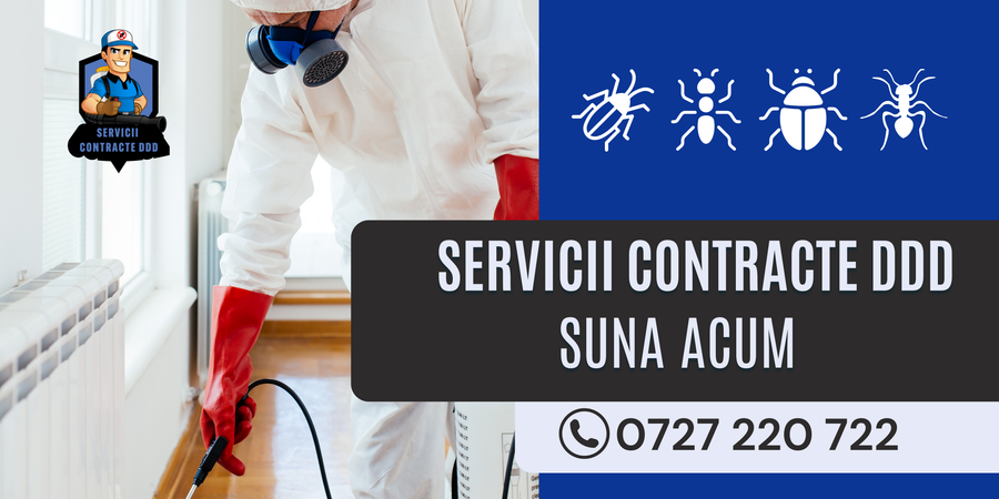 Cum am scăpat de ploșnițe: Servicii profesionale de dezinsecție, prețuri și soluții eficiente în București