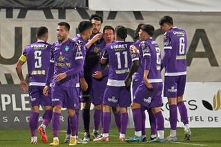 A plecat de la echipă, cu două zile înainte de FC Argeș - FCSB