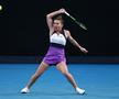 EXCLUSIV CTP l-a înțepat pe Ion Țiriac înainte de Simona Halep - Serena Williams: „A sărit din fundul grădinii cu o combinație de inutilitate și răutate”