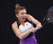 EXCLUSIV CTP l-a înțepat pe Ion Țiriac înainte de Simona Halep - Serena Williams: „A sărit din fundul grădinii cu o combinație de inutilitate și răutate”