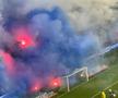 CS Universitatea Craiova - FCU Craiova, fani