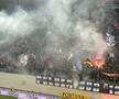 CS Universitatea Craiova - FCU Craiova, fani