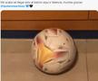 Am găsit în Valencia mingea trimisă de Martinez