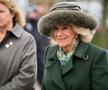 Cum a apărut Regina Camilla la cursa de cai de la Cheltenham // foto: Guliver/GettyImages