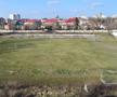 STADIONUL TINERETULUI CRAIOVA