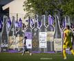 FOTO: Facebook @peluzasudtimisoara