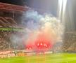 Spectacol pirotehnic al Peluzei Vișinii în CFR Cluj - FCSB