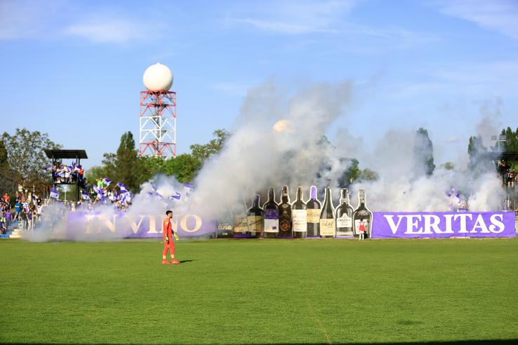 FOTO: Facebook @peluzasudtimisoara