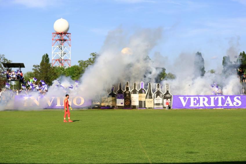 FOTO: Facebook @peluzasudtimisoara