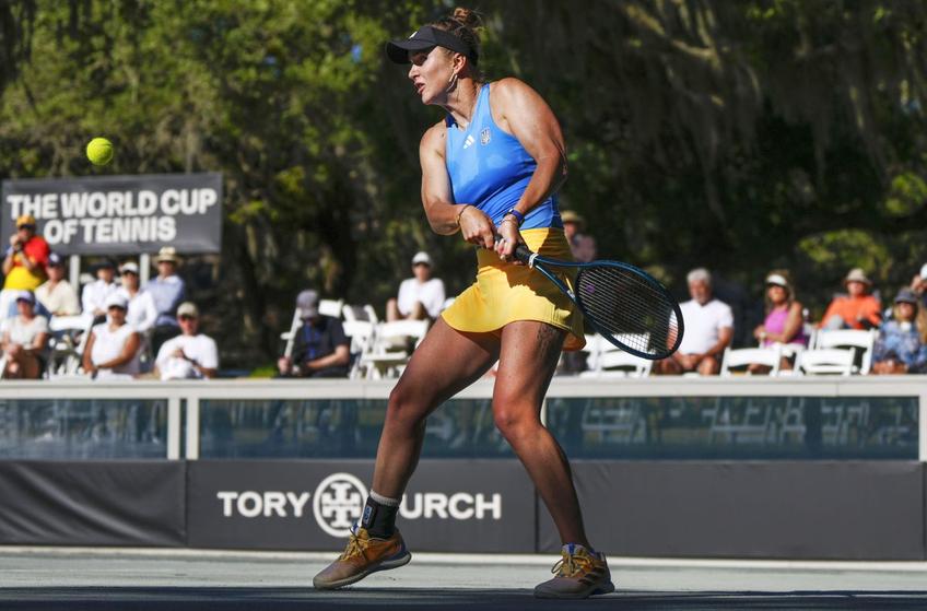 Elina Svitolina // FOTO: Imago