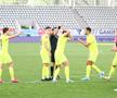 Decizii Ovidiu Hațegan în Dinamo - Poli Iași