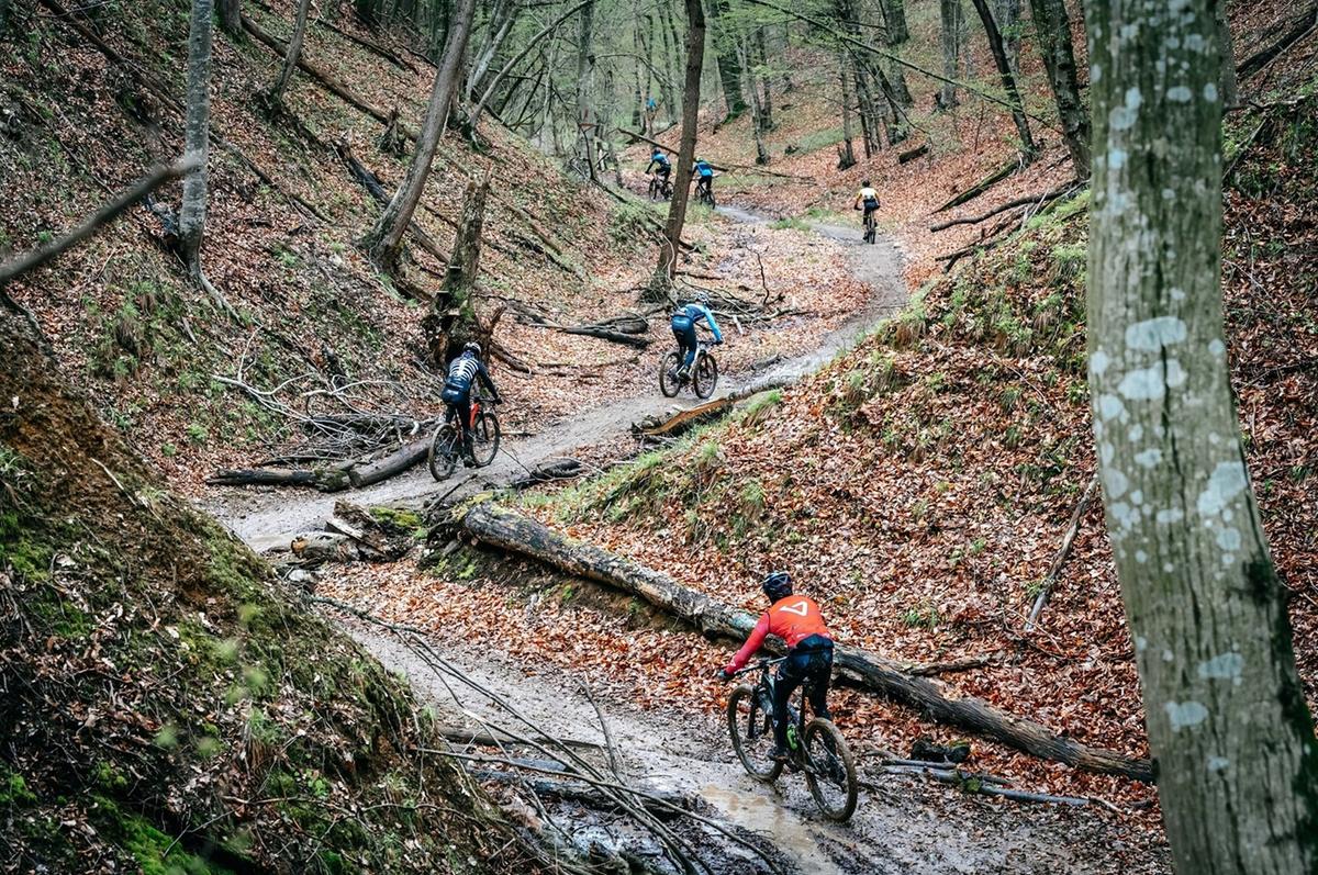 Triada MTB Avrig
