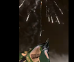 Fanii lui Sassuolo au sărbătorit în stradă promovarea în Serie A » Imagini superbe din centrul orașului
