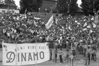 Dinamo #75. Ce promiteau șefii roș-albilor în momentul înființării clubului: „Vom construi cel mai frumos stadion din Capitală!”