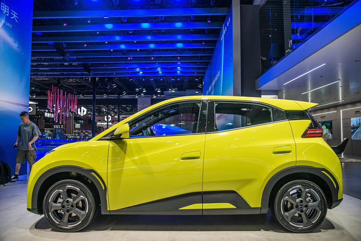 BYD Dolphin Surf
