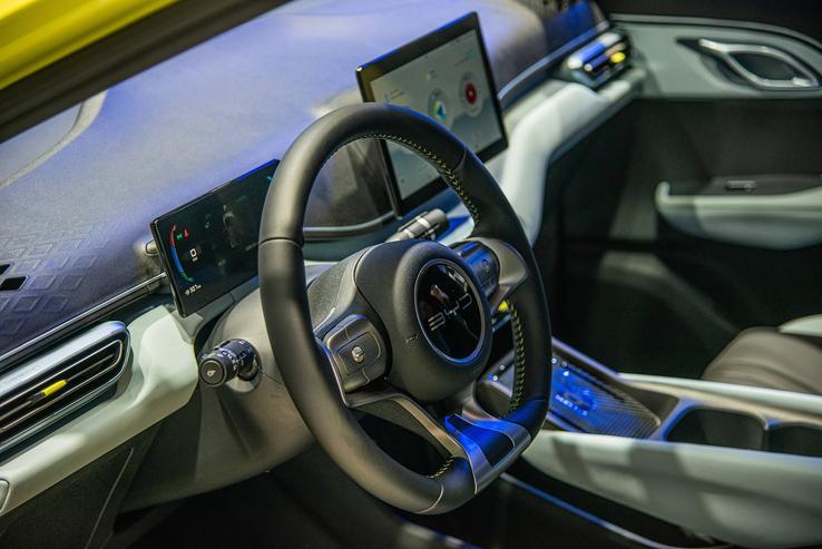 BYD Dolphin Surf