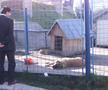 Fotbalul renaște la periferia orașului care dădea echipă în Liga 1 » Vechiul stadion e în paragină, înghițit de natură!