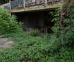 Așa arată acum stadionul din Onești. Foto: Andrei Furnigă (GSP.RO)