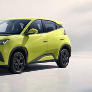 BYD Dolphin Surf