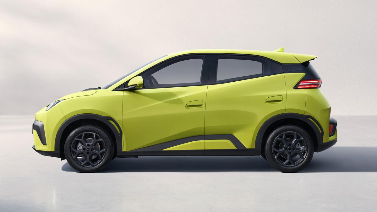 BYD Dolphin Surf
