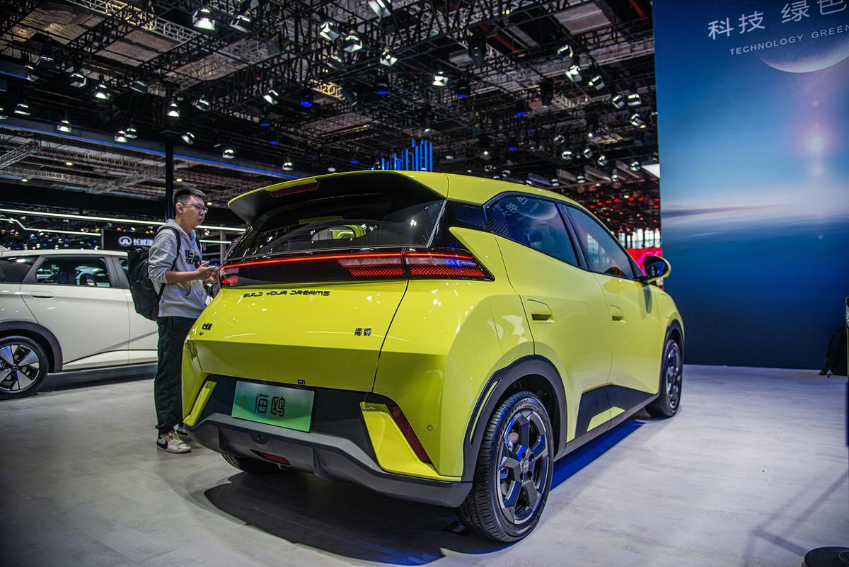 BYD Dolphin Surf