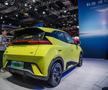 BYD Dolphin Surf