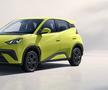 BYD Dolphin Surf