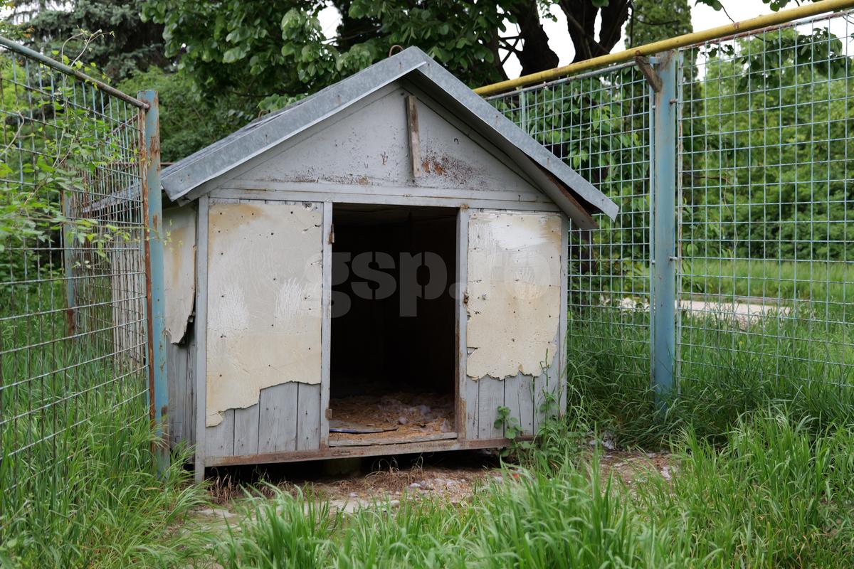 Fotbalul renaște la periferia orașului care dădea echipă în Liga 1 » Vechiul stadion e în paragină, înghițit de natură!