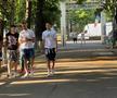 Musi, Ianis Stoica, Lixandru, Dumiter