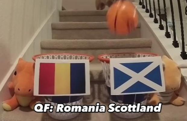 Celebrul cățel care dă pronosticuri exacte a anunțat unde se va opri România la Euro 2024 » Dacă are dreptate, „tricolorii” vor depăși toate așteptările