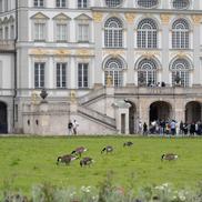 Schloss Nymphenburg FOTO: Ionuț Iordache (GSP)