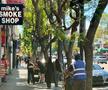 Cum arată consumul de cannabis în Los Angeles // FOTO: Ionuț Iordache (GSP)