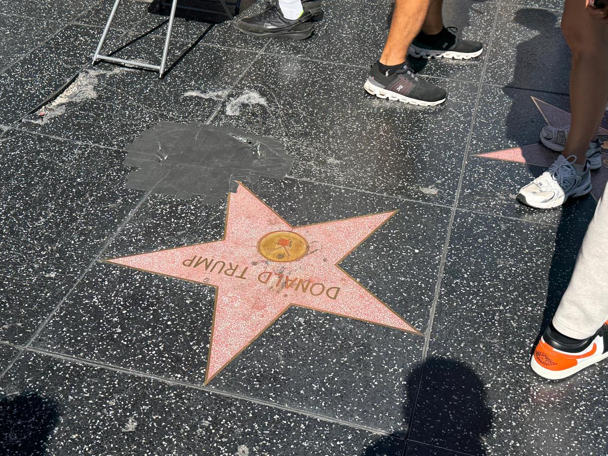 Cum arată consumul de cannabis în Los Angeles