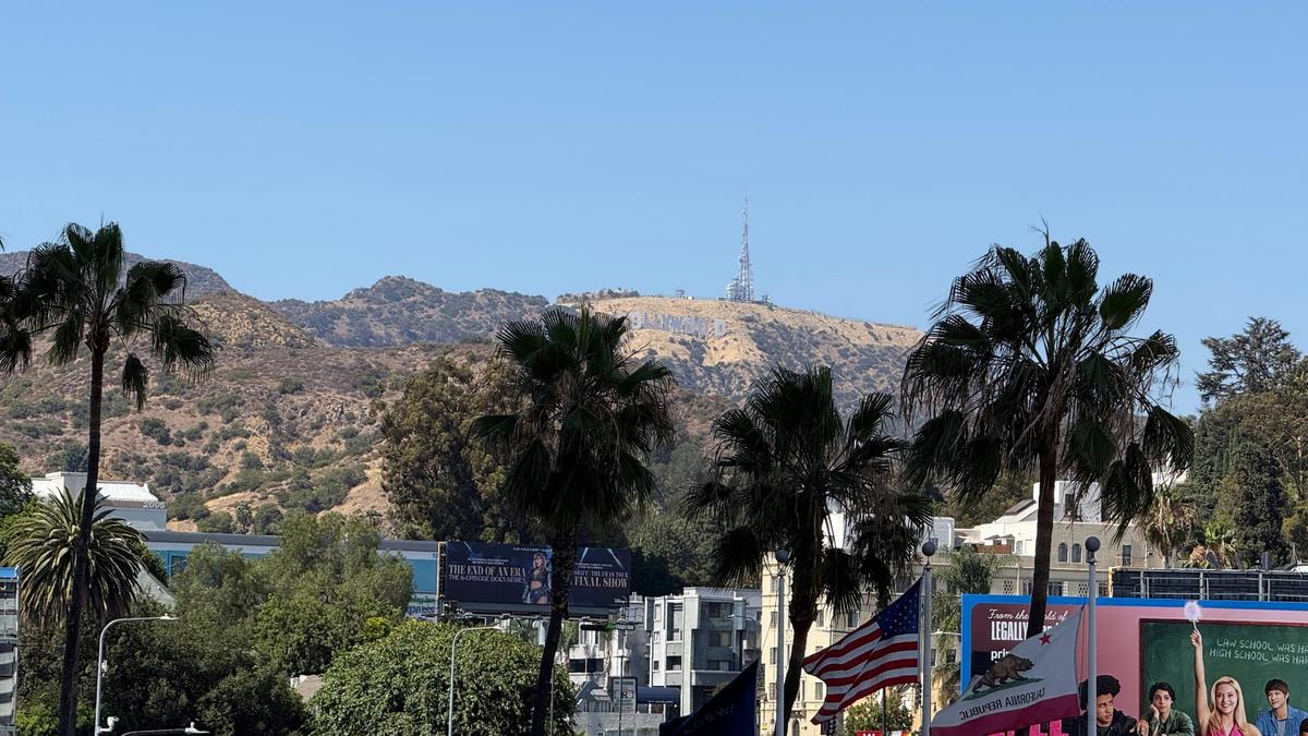 Cum arată consumul de cannabis în Los Angeles