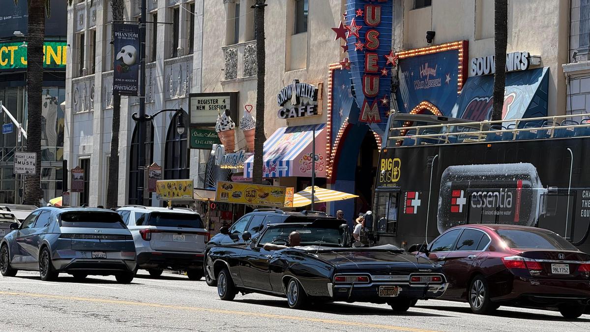 Cum arată consumul de cannabis în Los Angeles